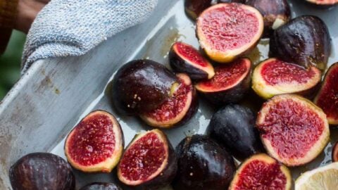 What Makes Friday Fig Special?