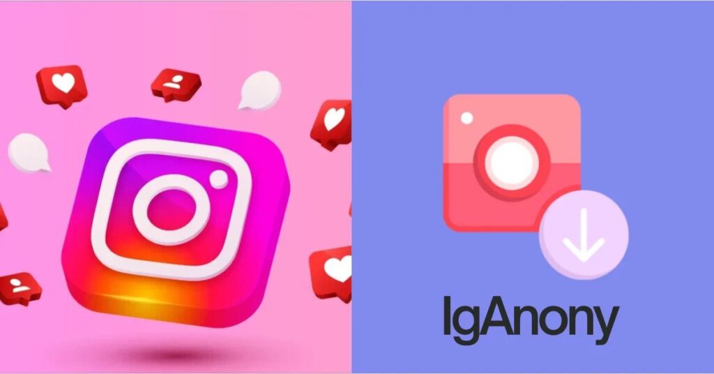 What types of Instagram content can IgAnony access