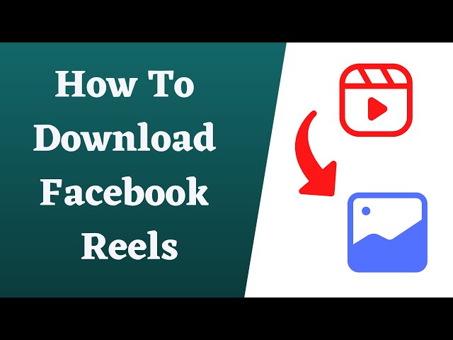 Why Use a Facebook Reel Downloader - A Step-By-Step Guide!