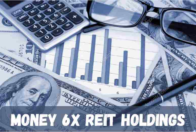 What fees should investors expect with Money 6X REIT Holdings