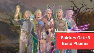 Baldurs Gate 3 Build Planner