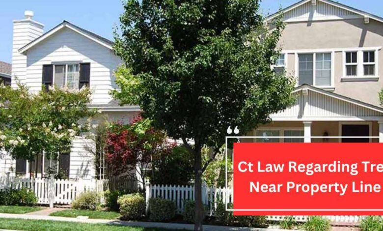 Ct Law Regarding Tree Near Property Line