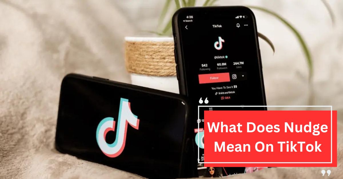 What Does Nudge Mean On TikTok
