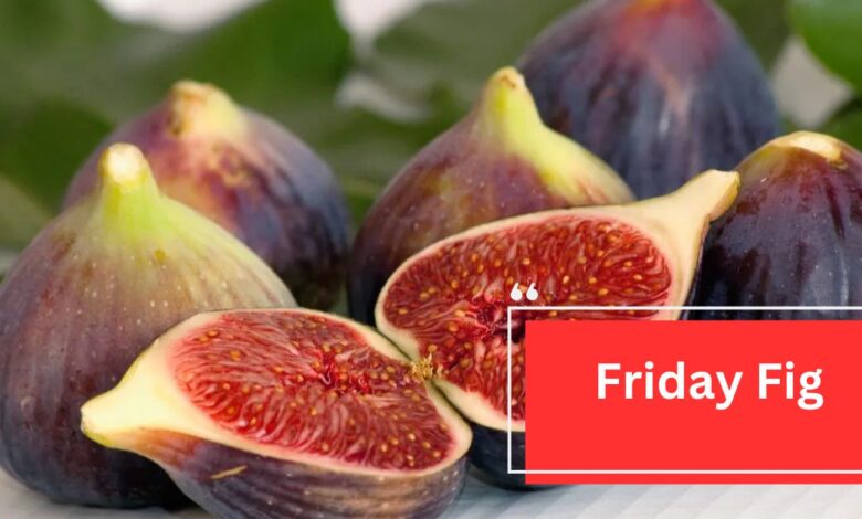 Friday Fig