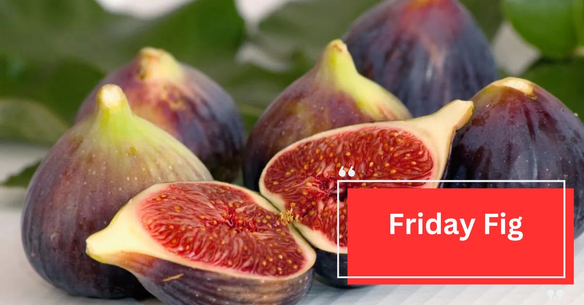 Friday Fig