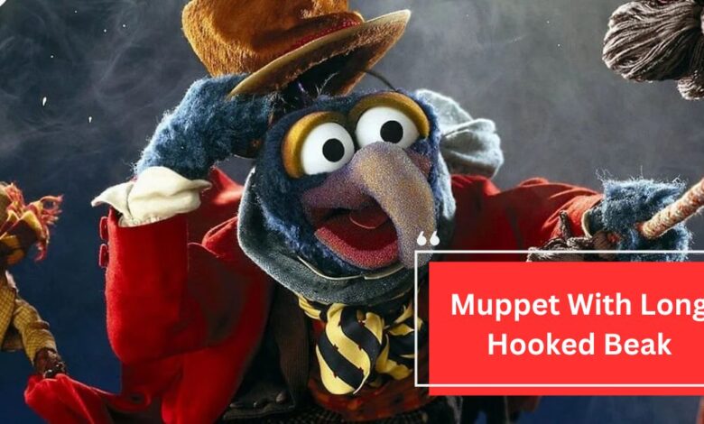 Muppet With Long Hooked Beak