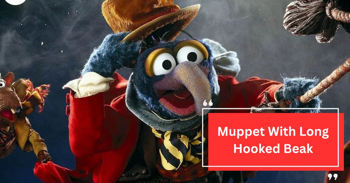 Muppet With Long Hooked Beak