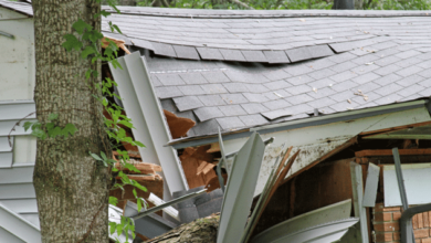 Weathering the Storm: Essential Tips to Protect Your Property