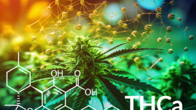 5 Benefits of THCa Flower