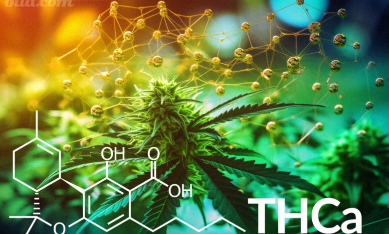 5 Benefits of THCa Flower