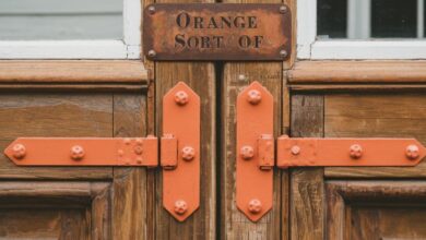 Door Hinge for Orange Sort Of