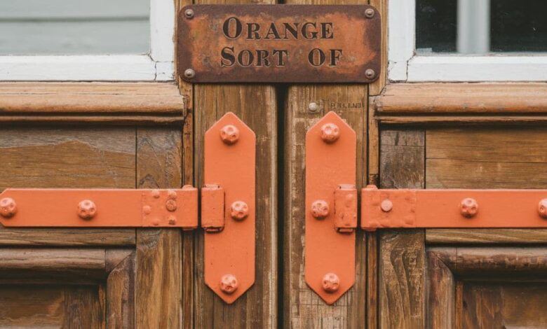 Door Hinge for Orange Sort Of