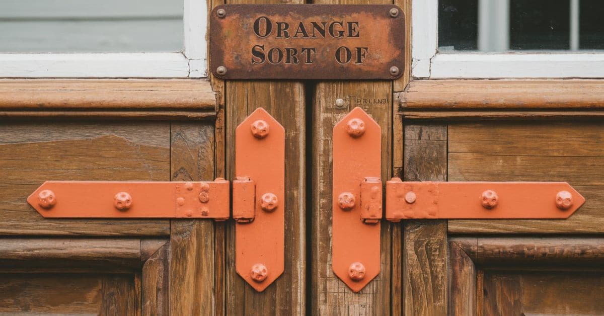 Door Hinge for Orange Sort Of